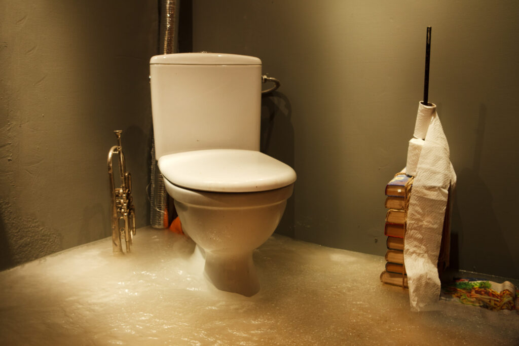clogged toilets